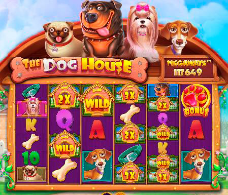 the-dog-house